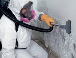 Best Environmental Consulting for Mold Prevention  in Welcome, NC